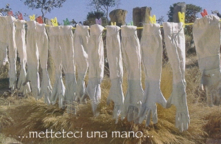Apicoltura in un campo profughi